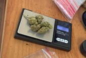 Buy Coke Weed Cocaine Bratislava Telegram (@thyfone) Signal ID (@thyfone.88)