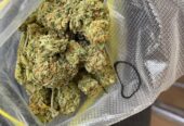 Buy Coke Weed Cocaine Gdynia Telegram (@thyfone) Signal ID (@thyfone.88)