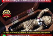 Where to Find a Death Spell Caster Who Delivers Proven Results Fast (WhatsApp +27836633417)