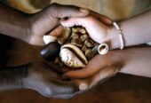 +27833895606 Powerful Magic Ring and wallet for Money and Riches in Johannesburg|Pretoria|Soweto|BLoemfotein|Secunda|Wintbank|